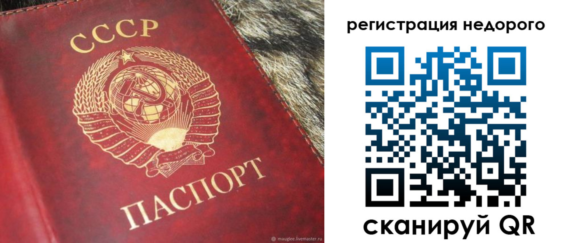 прописка ребенка в Камне-на-Оби